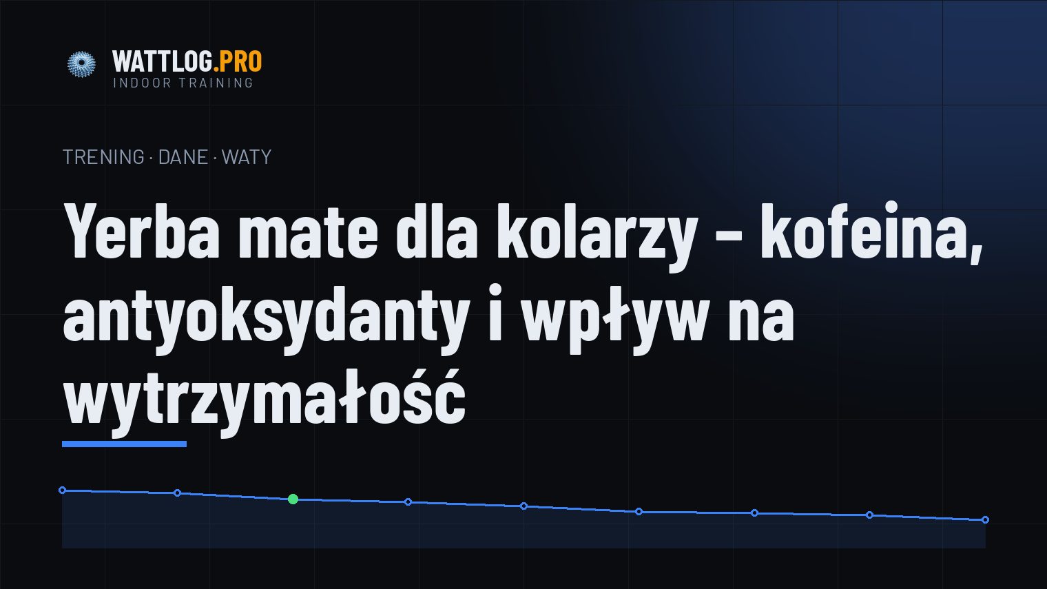 Yerba mate dla kolarzy — kofeina, antyoksydanty i wpływ na wytrzymałość